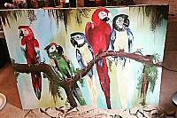 Parrots